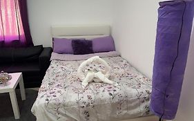 The Purple Place